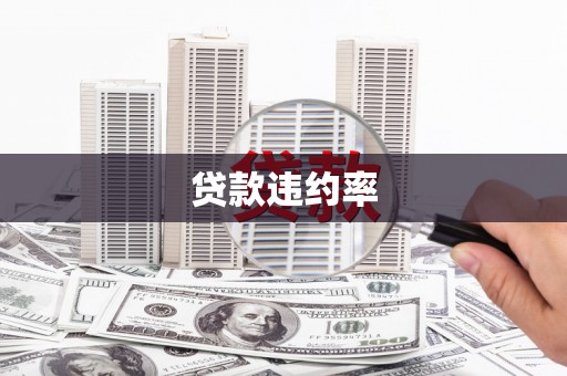 北碚贷款违约率
