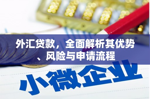 北碚外汇贷款，全面解析其优势、风险与申请流程