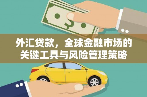 北碚外汇贷款，全球金融市场的关键工具与风险管理策略