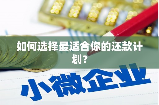 北碚如何选择最适合你的还款计划？