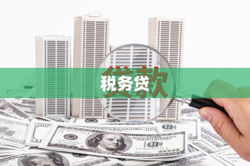 北碚税务贷