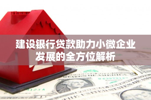北碚建设银行贷款助力小微企业发展的全方位解析