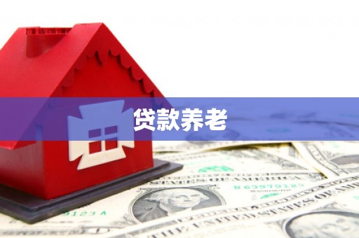 北碚贷款养老