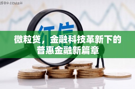 北碚微粒贷，金融科技革新下的普惠金融新篇章
