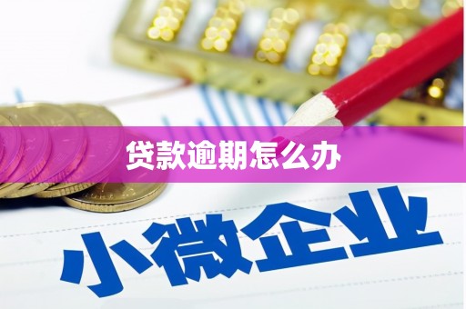 北碚贷款逾期怎么办