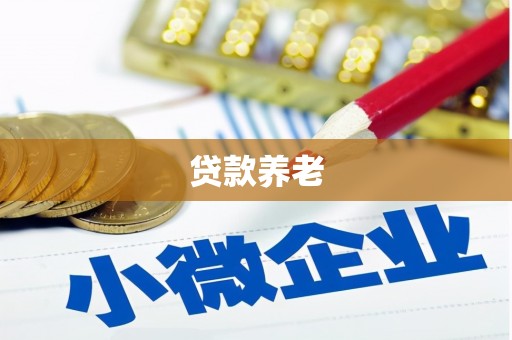 北碚贷款养老