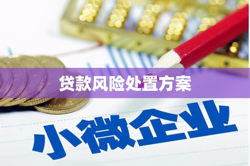 北碚贷款风险处置方案